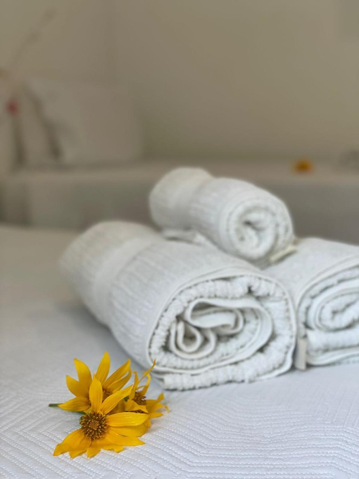Suites Amma Noronha Fernando de Noronha Ngoại thất bức ảnh